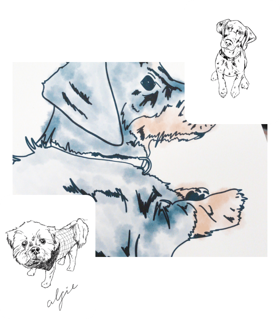 Pet Portraits Ginger&Tails